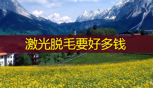 激光脱毛要好多钱-第1张图片-美呗严选网 激光脱毛要好多钱-第1张图片-美呗严选网