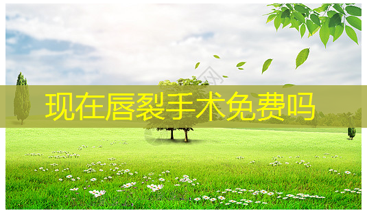 现在唇裂手术免费吗-第1张图片-美呗严选网 现在唇裂手术免费吗-第1张图片-美呗严选网
