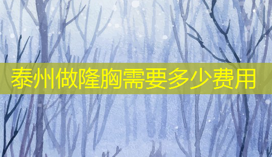 泰州做隆胸需要多少费用-第1张图片-美呗严选网 泰州做隆胸需要多少费用-第1张图片-美呗严选网
