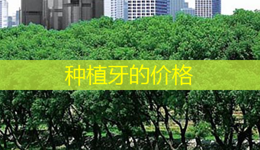 种植牙的价格-第1张图片-美呗严选网 种植牙的价格-第1张图片-美呗严选网