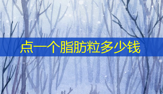 点一个脂肪粒多少钱-第1张图片-美呗严选网 点一个脂肪粒多少钱-第1张图片-美呗严选网