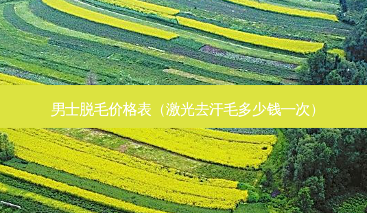 男士脱毛价格表(激光去汗毛多少钱一次)-第1张图片-美呗严选网 男士脱毛价格表(激光去汗毛多少钱一次)-第1张图片-美呗严选网