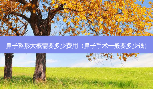 鼻子整形大概需要多少费用(鼻子手术一般要多少钱)-第1张图片-美呗严选网 鼻子整形大概需要多少费用(鼻子手术一般要多少钱)-第1张图片-美呗严选网