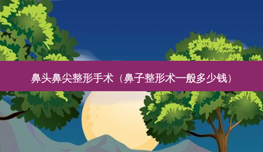鼻头鼻尖整形手术(鼻子整形术一般多少钱)-第1张图片-美呗严选网 鼻头鼻尖整形手术(鼻子整形术一般多少钱)-第1张图片-美呗严选网
