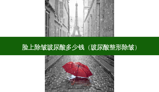 脸上除皱玻尿酸多少钱(玻尿酸整形除皱)-第1张图片-美呗严选网 脸上除皱玻尿酸多少钱(玻尿酸整形除皱)-第1张图片-美呗严选网