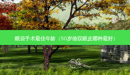 眼袋手术佳年龄(50岁做双眼皮哪种好)-第1张图片-美呗严选网 眼袋手术佳年龄(50岁做双眼皮哪种好)-第1张图片-美呗严选网