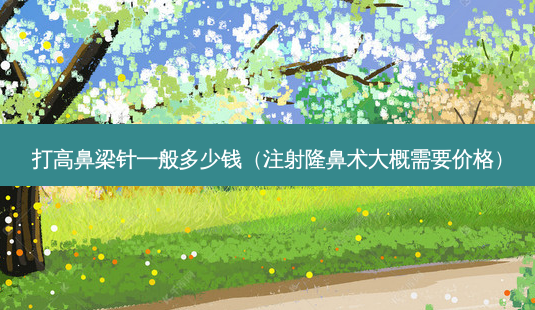 打高鼻梁针一般多少钱(注射隆鼻术大概需要价格)-第1张图片-美呗严选网 打高鼻梁针一般多少钱(注射隆鼻术大概需要价格)-第1张图片-美呗严选网