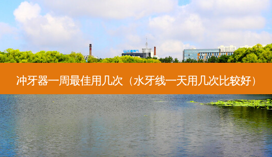 冲牙器一周佳用几次(水牙线一天用几次比较好)-第1张图片-美呗严选网 冲牙器一周佳用几次(水牙线一天用几次比较好)-第1张图片-美呗严选网
