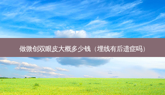 做微创双眼皮大概多少钱(埋线有后遗症吗)-第1张图片-美呗严选网 做微创双眼皮大概多少钱(埋线有后遗症吗)-第1张图片-美呗严选网