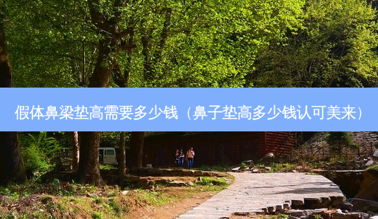 假体鼻梁垫高需要多少钱(鼻子垫高多少钱认可美来)-第1张图片-美呗严选网 假体鼻梁垫高需要多少钱(鼻子垫高多少钱认可美来)-第1张图片-美呗严选网