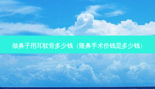 做鼻子用耳软骨多少钱(隆鼻手术价钱是多少钱)-第1张图片-美呗严选网 做鼻子用耳软骨多少钱(隆鼻手术价钱是多少钱)-第1张图片-美呗严选网