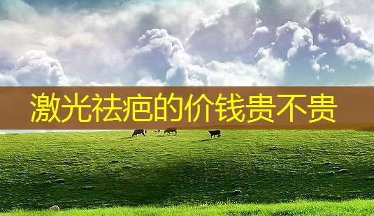激光祛疤的价钱贵不贵-第1张图片-美呗严选网 激光祛疤的价钱贵不贵-第1张图片-美呗严选网