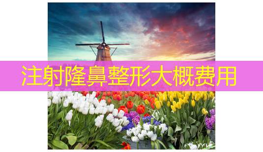 注射隆鼻整形大概费用-第1张图片-美呗严选网 注射隆鼻整形大概费用-第1张图片-美呗严选网