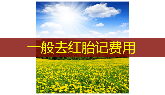 一般去红胎记费用-第1张图片-美呗严选网 一般去红胎记费用-第1张图片-美呗严选网