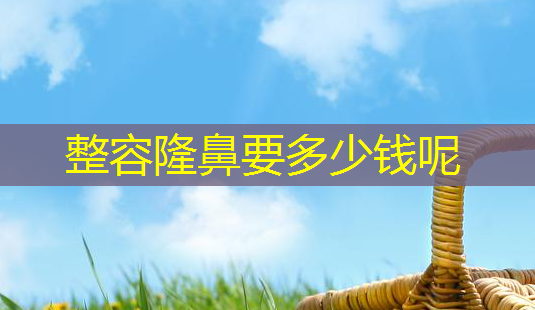 整容隆鼻要多少钱呢-第1张图片-美呗严选网 整容隆鼻要多少钱呢-第1张图片-美呗严选网