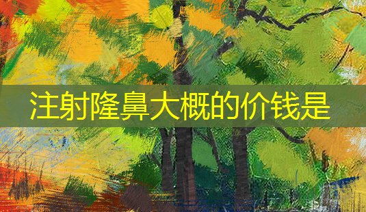 注射隆鼻大概的价钱是-第1张图片-美呗严选网 注射隆鼻大概的价钱是-第1张图片-美呗严选网