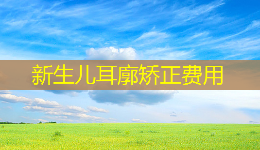 新生儿耳廓矫正费用-第1张图片-美呗严选网 新生儿耳廓矫正费用-第1张图片-美呗严选网