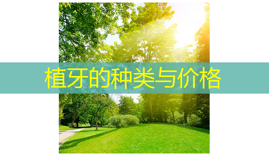植牙的种类与价格-第1张图片-美呗严选网 植牙的种类与价格-第1张图片-美呗严选网