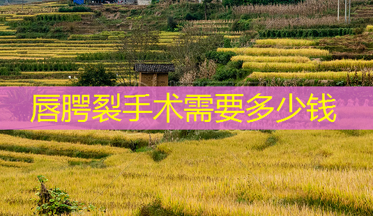 唇腭裂手术需要多少钱-第1张图片-美呗严选网 唇腭裂手术需要多少钱-第1张图片-美呗严选网