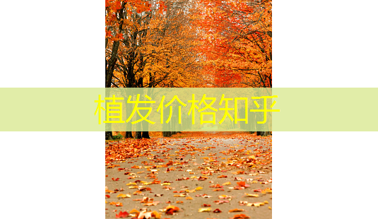 植发价格知乎-第1张图片-美呗严选网 植发价格知乎-第1张图片-美呗严选网