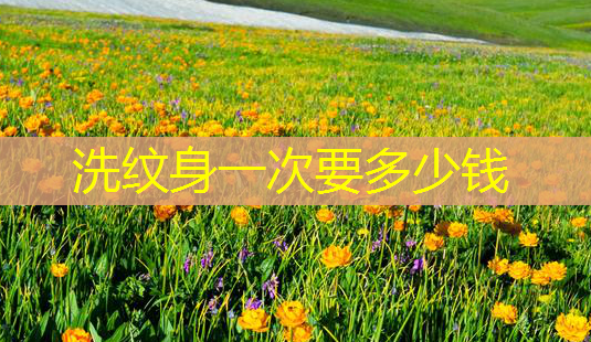 洗纹身一次要多少钱-第1张图片-美呗严选网 洗纹身一次要多少钱-第1张图片-美呗严选网