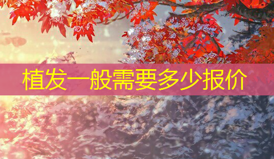 植发一般需要多少报价-第1张图片-美呗严选网 植发一般需要多少报价-第1张图片-美呗严选网