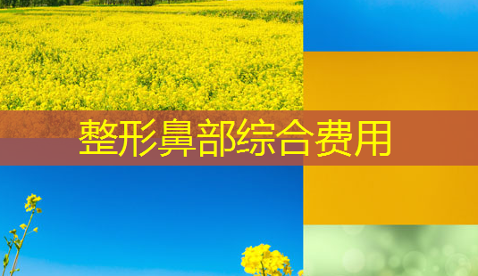 整形鼻部综合费用-第1张图片-美呗严选网 整形鼻部综合费用-第1张图片-美呗严选网