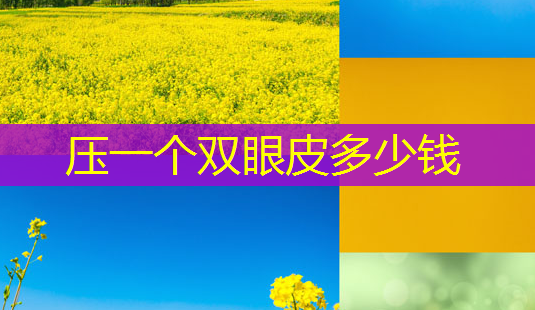 压一个双眼皮多少钱-第1张图片-美呗严选网 压一个双眼皮多少钱-第1张图片-美呗严选网