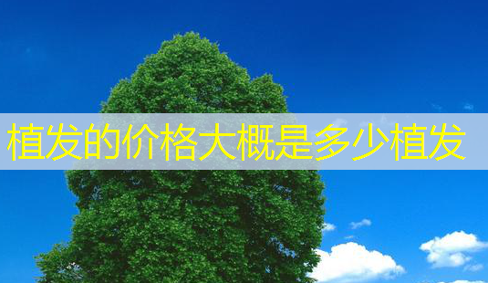 植发的价格大概是多少植发-第1张图片-美呗严选网 植发的价格大概是多少植发-第1张图片-美呗严选网
