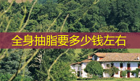 全身抽脂要多少钱左右-第1张图片-美呗严选网 全身抽脂要多少钱左右-第1张图片-美呗严选网