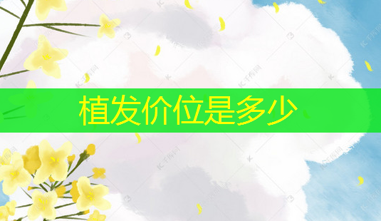 植发价位是多少-第1张图片-美呗严选网 植发价位是多少-第1张图片-美呗严选网