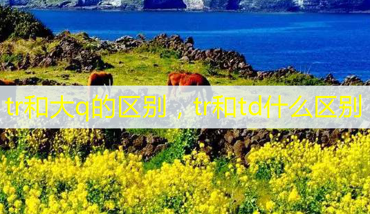 tr和大q的区别,tr和td什么区别-第1张图片-美呗严选网 tr和大q的区别,tr和td什么区别-第1张图片-美呗严选网