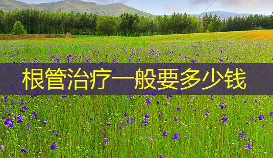 根管一般要多少钱-第1张图片-美呗严选网 根管一般要多少钱-第1张图片-美呗严选网