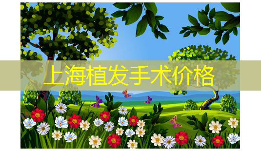 上海植发手术价格-第1张图片-美呗严选网 上海植发手术价格-第1张图片-美呗严选网