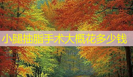 小腿抽脂手术大概花多少钱-第1张图片-美呗严选网 小腿抽脂手术大概花多少钱-第1张图片-美呗严选网