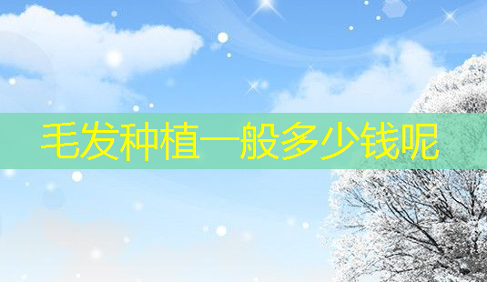 毛发种植一般多少钱呢-第1张图片-美呗严选网 毛发种植一般多少钱呢-第1张图片-美呗严选网