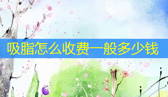 吸脂怎么收费一般多少钱-第1张图片-美呗严选网 吸脂怎么收费一般多少钱-第1张图片-美呗严选网