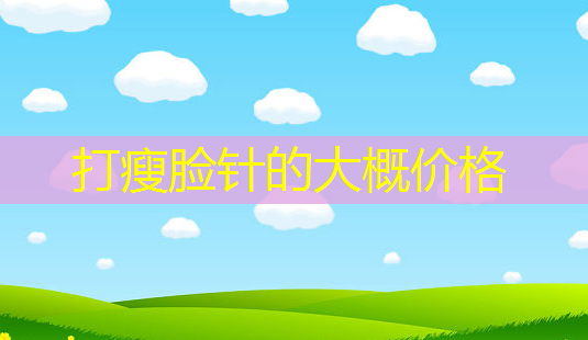 打瘦脸针的大概价格-第1张图片-美呗严选网 打瘦脸针的大概价格-第1张图片-美呗严选网