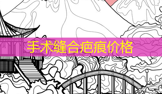 手术缝合疤痕价格-第1张图片-美呗严选网 手术缝合疤痕价格-第1张图片-美呗严选网