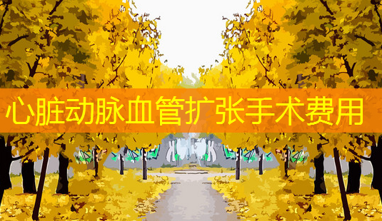 心脏动脉血管扩张手术费用-第1张图片-美呗严选网 心脏动脉血管扩张手术费用-第1张图片-美呗严选网