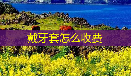 戴牙套怎么收费-第1张图片-美呗严选网 戴牙套怎么收费-第1张图片-美呗严选网