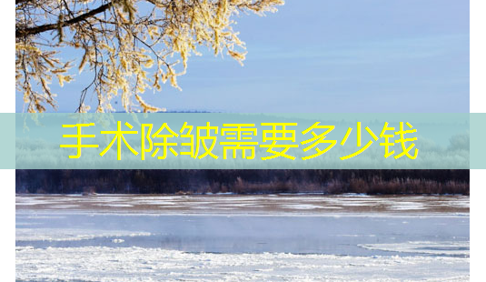 手术除皱需要多少钱-第1张图片-美呗严选网 手术除皱需要多少钱-第1张图片-美呗严选网