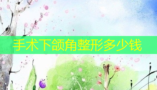 手术下颌角整形多少钱-第1张图片-美呗严选网 手术下颌角整形多少钱-第1张图片-美呗严选网