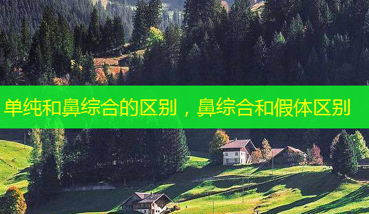 单纯和鼻综合的区别,鼻综合和假体区别-第1张图片-美呗严选网 单纯和鼻综合的区别,鼻综合和假体区别-第1张图片-美呗严选网