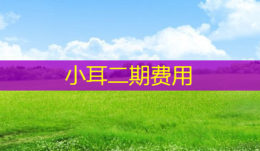 小耳二期费用-第1张图片-美呗严选网 小耳二期费用-第1张图片-美呗严选网