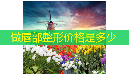 做唇部整形价格是多少-第1张图片-美呗严选网 做唇部整形价格是多少-第1张图片-美呗严选网