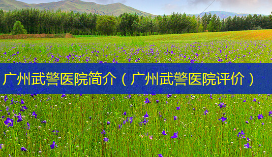 广州武警医院简介(广州武警医院评价)-第1张图片-美呗严选网 广州武警医院简介(广州武警医院评价)-第1张图片-美呗严选网