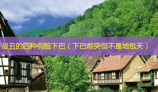 丑的四种侧脸下巴(下巴前突但不是地包天)-第1张图片-美呗严选网 丑的四种侧脸下巴(下巴前突但不是地包天)-第1张图片-美呗严选网