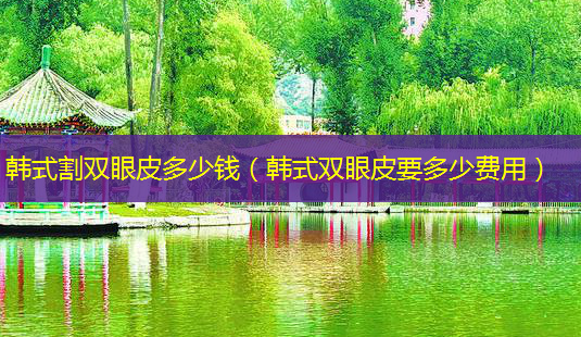 韩式割双眼皮多少钱(韩式双眼皮要多少费用)-第1张图片-美呗严选网 韩式割双眼皮多少钱(韩式双眼皮要多少费用)-第1张图片-美呗严选网