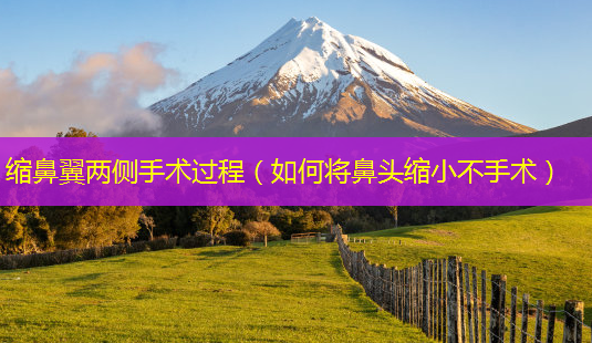 缩鼻翼两侧手术过程(如何将鼻头缩小不手术)-第1张图片-美呗严选网 缩鼻翼两侧手术过程(如何将鼻头缩小不手术)-第1张图片-美呗严选网